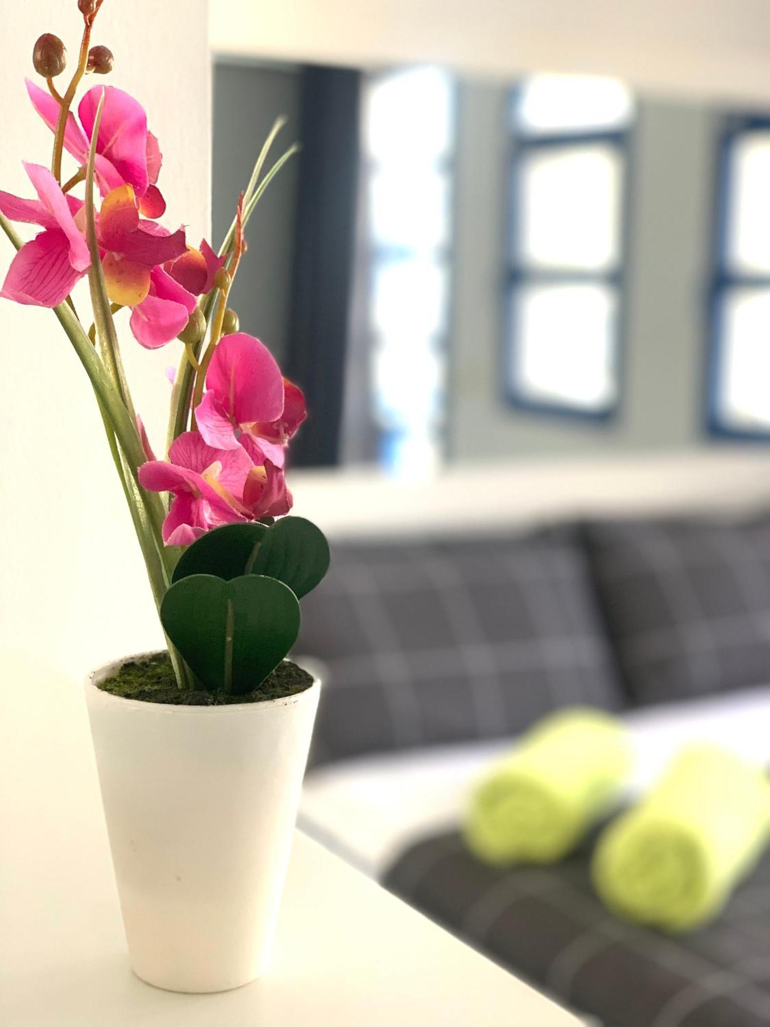Bungalow Helena Maspalomas  Zewnętrze zdjęcie